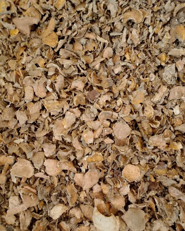 Dried Sliced Temulawak