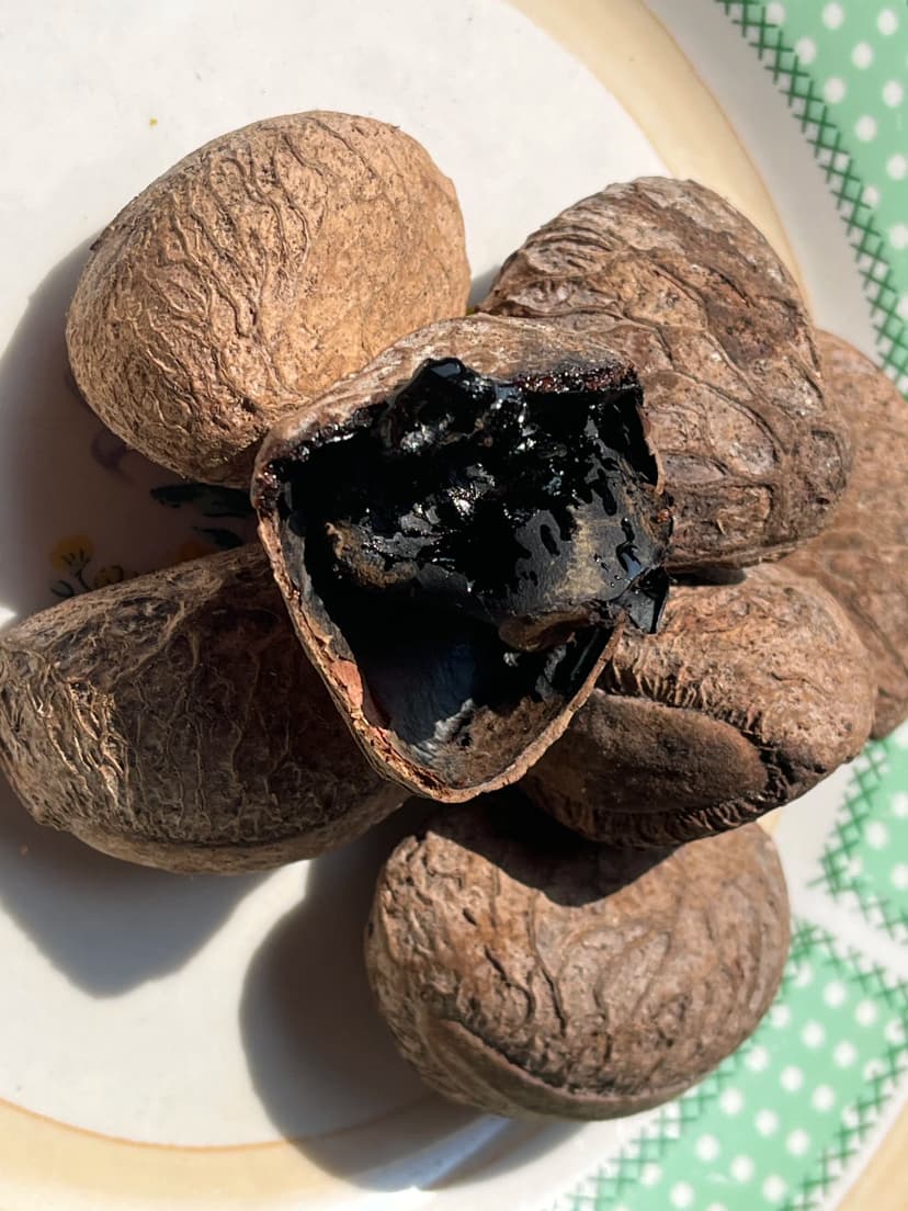 Shelled Kluwek