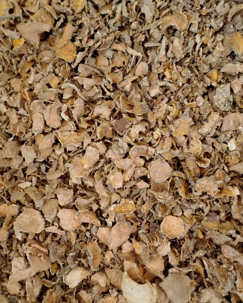Dried Sliced Temulawak